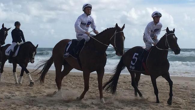 Tommy Berry at the Magic Millions barrier draw at Surfers Paradise. Pic: Kathleen Skene