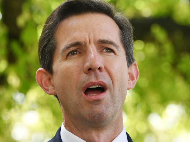 Australian Minister for Education and Training Senator Simon Birmingham speaks to the media at a press conference in Victoria Square, Adelaide, Friday, May 4, 2018. Council of Australian Governments (COAG) Education ministers from across the country have met in Adelaide to pore over a report by businessman David Gonski calling for a curriculum overhaul. (AAP Image/David Mariuz) NO ARCHIVING