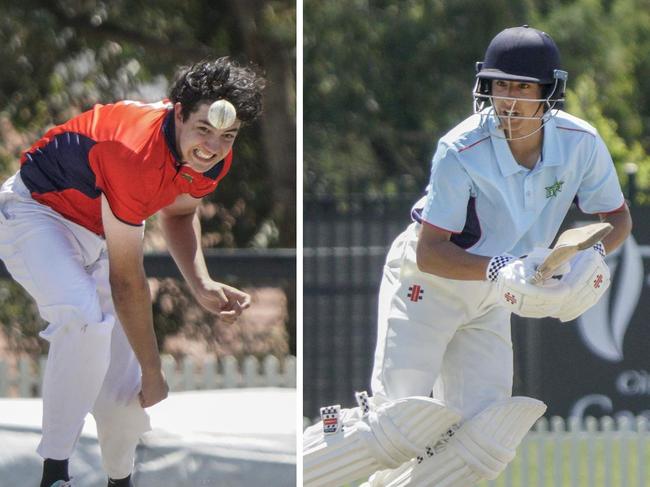 Revealed: Premier Cricket’s Dowling Shield squads