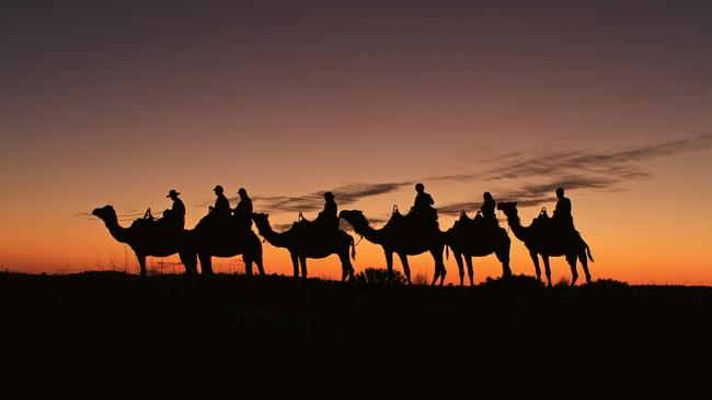 Uluru at dawn is already unbeatable, but watching the desert come to life through the Sunrise Camel Experience is worth the early wake-up call. Follow your peaceful one-hour ride atop an adorable ungulate with freshly baked damper and coffee.