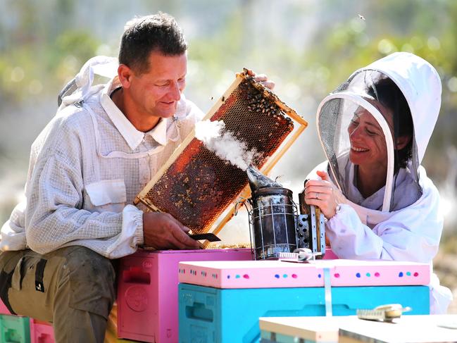 Beekeepers Sven Stephan and Ana Martin from Amber Drop Honey tend to their bees on the NSW mid north coast. Picture: Nathan Edwards