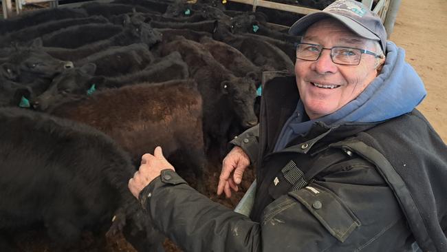 Angus McKinnon was a major vendor at the Wodonga store cattle sale.