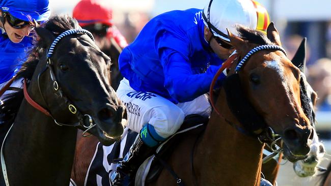 Hauraki can more than hold his own in a competitive field at the Championships.