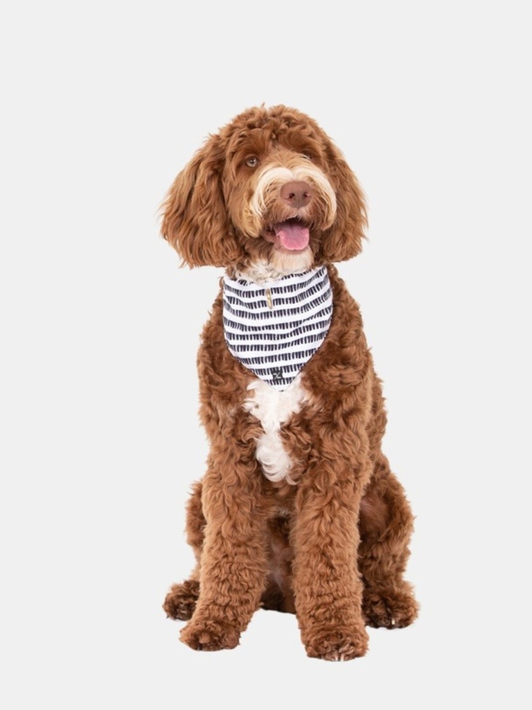 Mog & Bone Hemp Bandana. Picture: THE ICONIC.