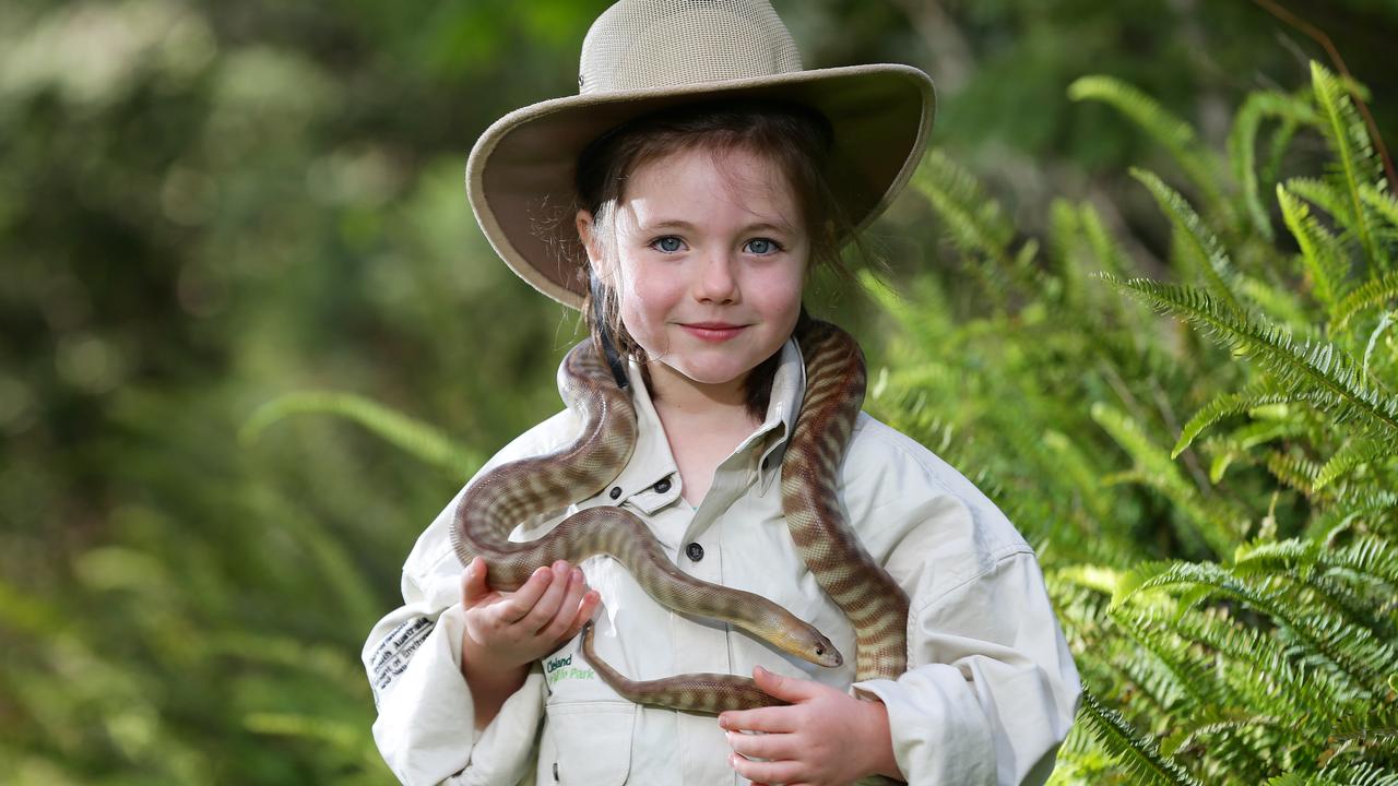 Snakes Can Hear You Scream, New Research Reveals