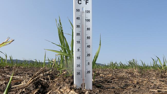 A temperature of 38 is expected during the early summer heat across the Central Highlands.