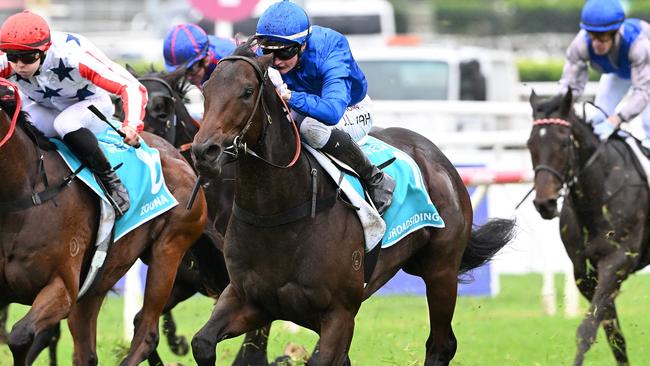 Broadsiding will be the shortest-priced G1 favourite of the winter. Picture: Grant Peters — Trackside Photography.