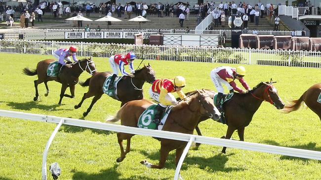 Marsannay (No.6) will be hard to run down on Wednesday. Picture: Getty Images