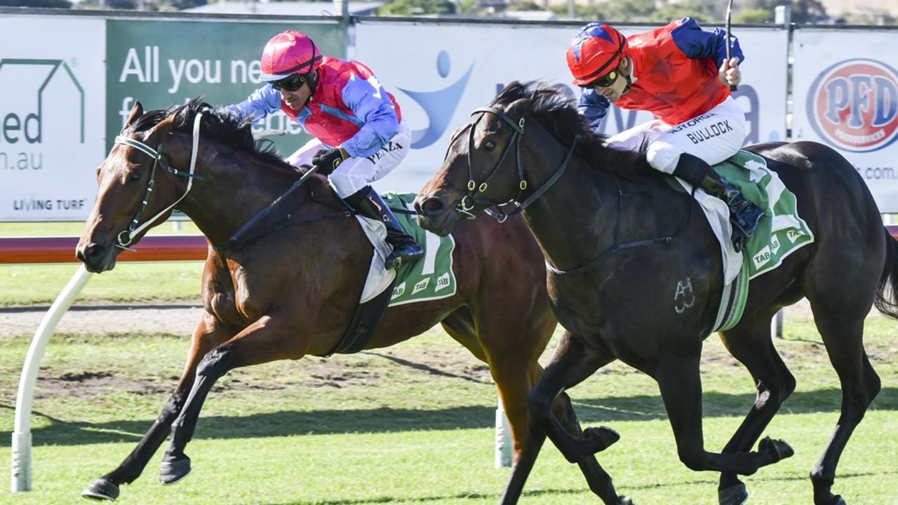 Split Decision (left) will be improved by her first-up run at Scone. Picture: Bradley Photos