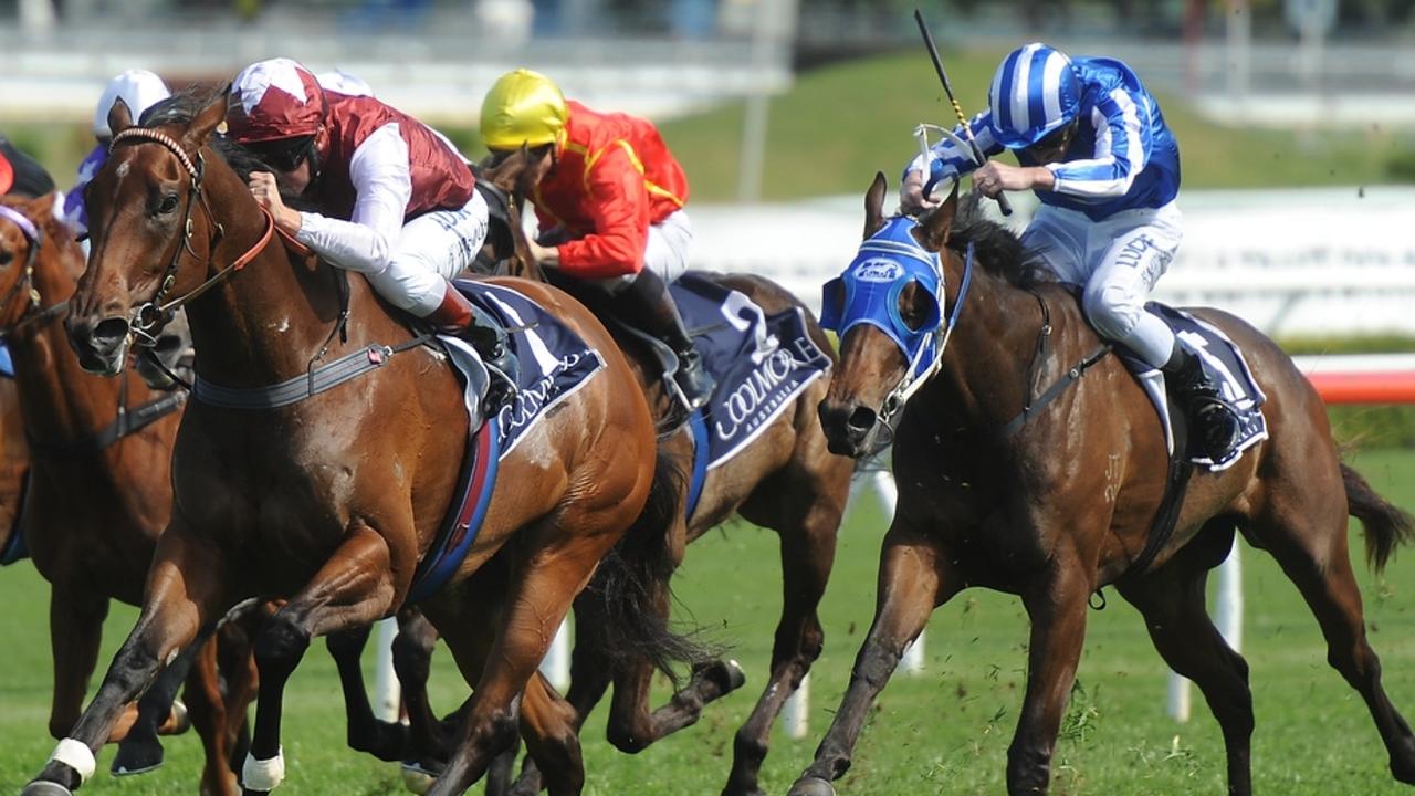 Sensability (blue) finishing second to Guelph in the Group 1 Flight Stakes at Randwick. Picture: Bradley Photos