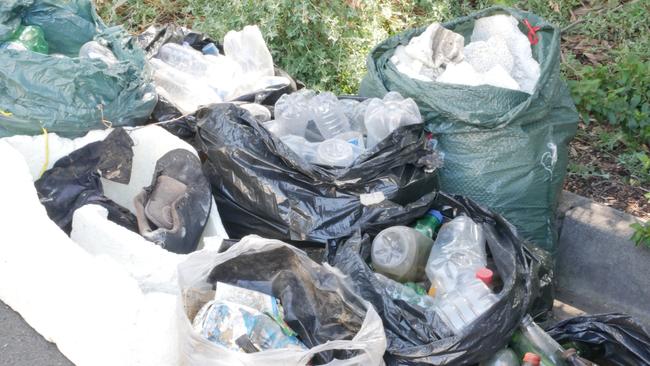 Litter collected by Wendy Moore from Merri Creek at Somerton.