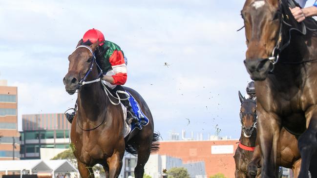 Amelia’s Jewel will head to Sydney if given the all clear. Picture: Vince Caligiuri—Getty Images.