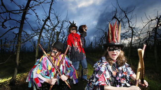 Huon Valley Mid Winter Fest organiser Sam Reid with morris dancers Di Davies and Tasha Erker in the apple orchard getting ready for wassailing (wasselling) the apple trees