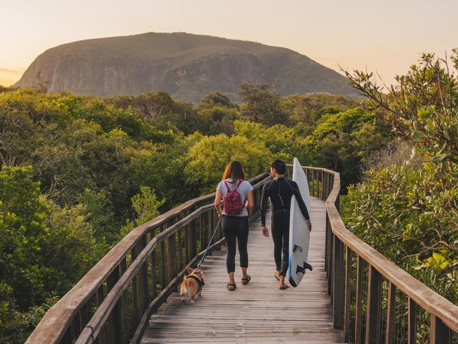 Couple with a dog walking along the Mt Coolum Boardwalk at sunsetPhoto- Tourism QldEscape 30 oct 2022savvy