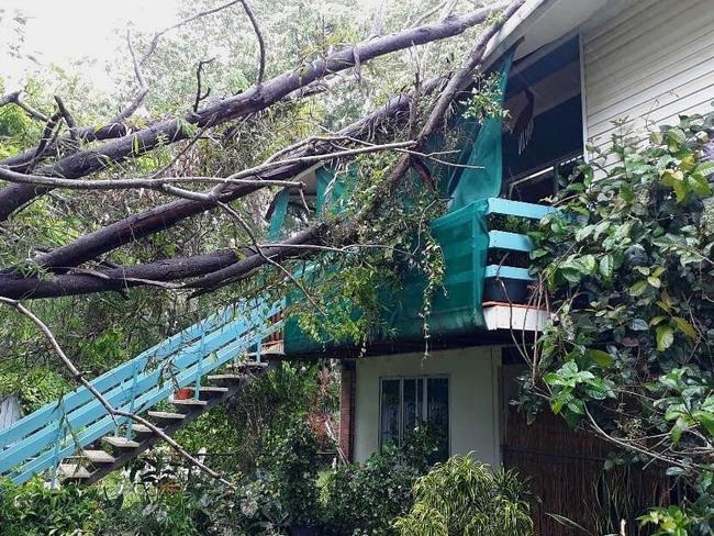 The winds of Tropical Cyclone Penny have felled trees in the Far North Queensland mining town of Weipa.