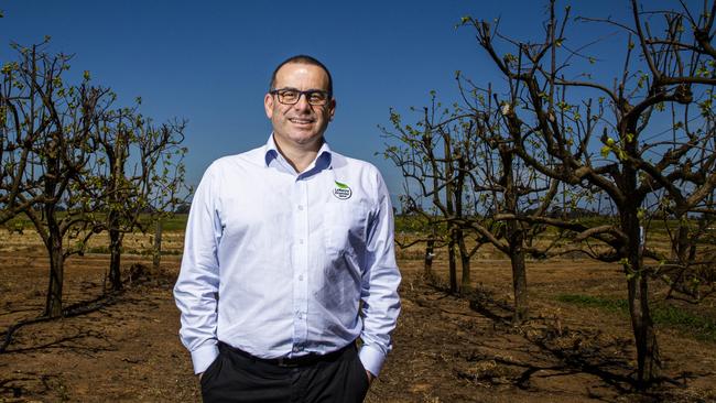 LaManna Premier Group chief executive Anthony Di Pietro at the company's Lancaster greenhouse site.