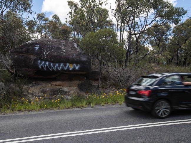 The large rock, painted to look like the head of a lizard on Morgan Rd, Belrose. But the proposed development is called Patyegarang — in honour of an Aboriginal woman thought to have been the first original inhabitant to teach an Aboriginal language to early Sydney colonists. (AAP Image / Julian Andrews)