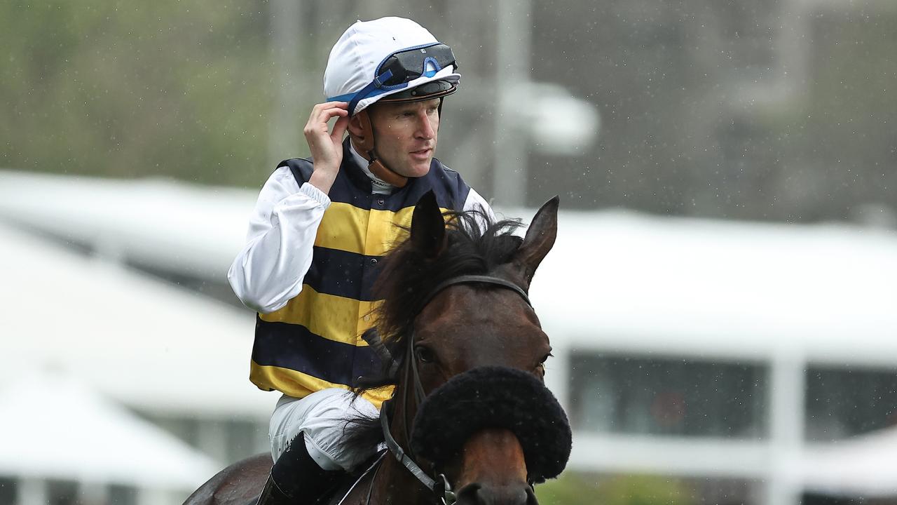 ‘Love his tenacity … off to the Melbourne Cup now’