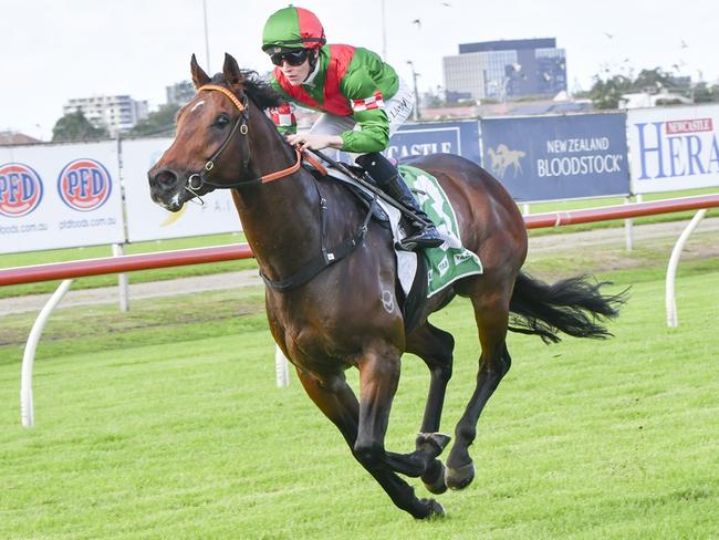 Glenbower flies home to win at Newcastle on May 9. Picture: Bradley Photos