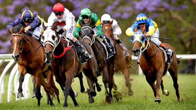 Jimmy Cassidy wins aboard Perplexity at Warwick Farm last start. Picture: Gregg Porteous