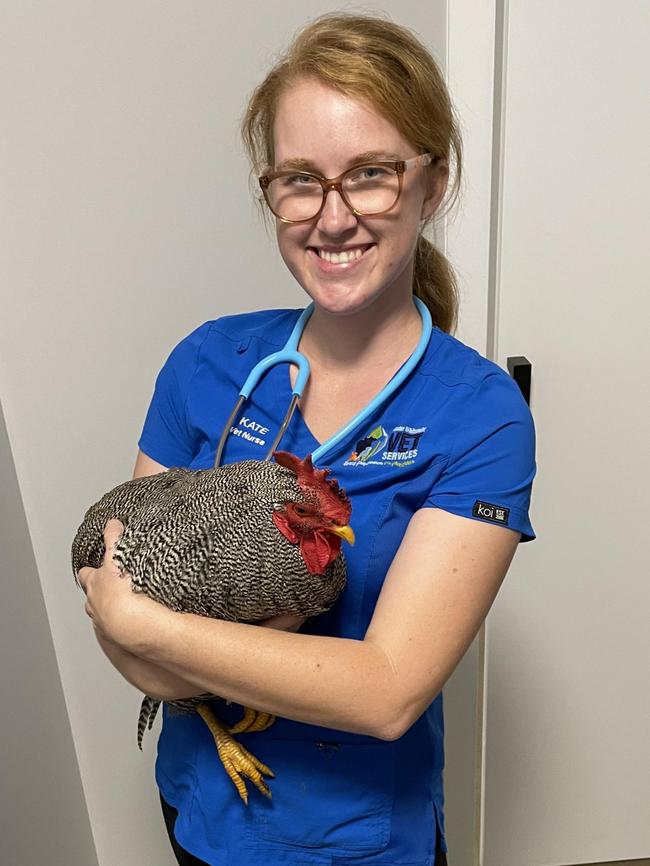 Greater Whitsunday Vet Services vet nurse Kate van Dalen cares for animals big and small. Picture: Supplied