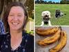 ‘I hate people’: Why these ‘dull’ women love to do nothing