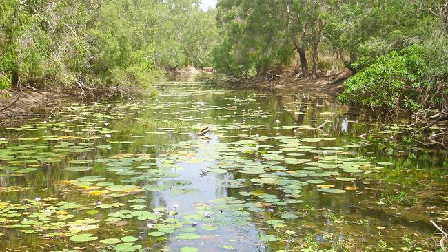 The 65-year-old went missing around the Kennedy Bend camping area. Picture: Queensland Department of Environment and Science