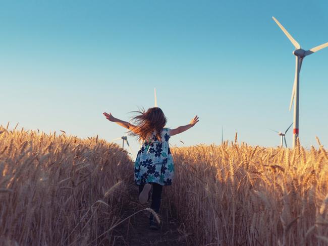 Even Bob Brown is having second thoughts about wind farms.