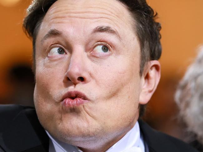 Elon Musk's bizarre plan to have legions of kids.