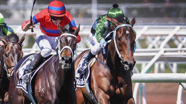 Melbourne Cup favourite Incentivise (right) was outclassed by Verry Elleegant. Picture: David Caird