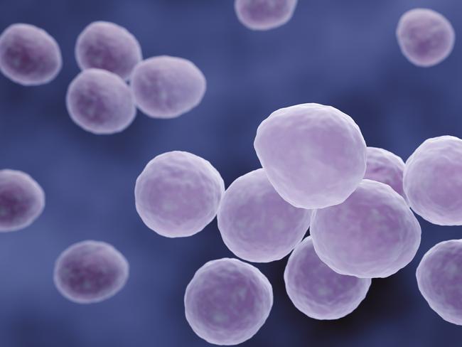 Mycoplasma bacteria illustration Picture: iStock