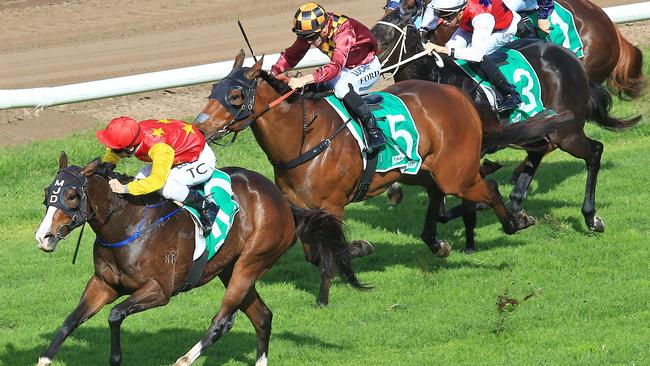 Clipper will be hard to beat in the TAB Highway on Saturday. Picture: Jenny Evans