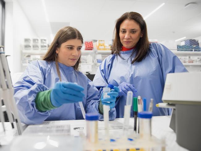 Cartherics researchers Liz Aliotta and Maree Hammett at work in the Melbourne laboratory. Image: Supplied