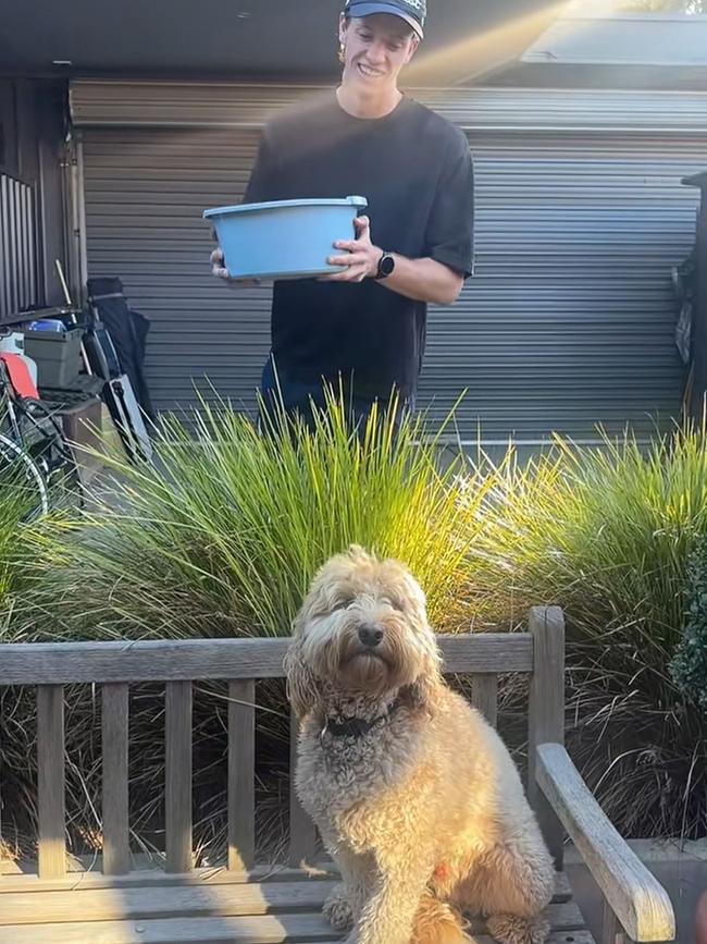 A trend is emerging on social media of people pouring ice cold water on their dogs. Picture: TikTok