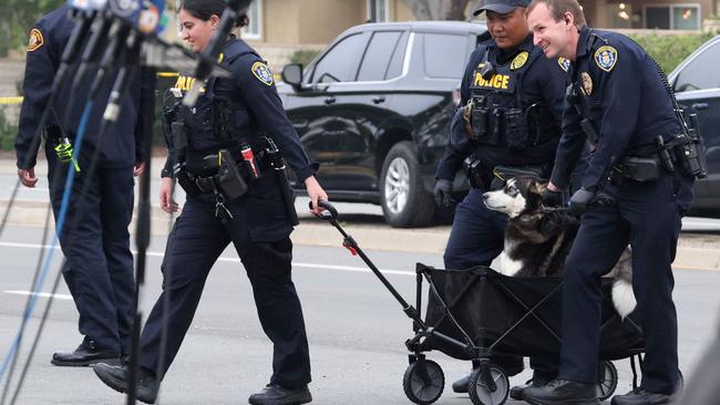 San Diego Police help evacuate a dog from a residence after a Cessna plane crashed in the Murphy Canyon area of San Diego, California, on May 22, 2025. Picture: Sandy Huffaker / AFP.