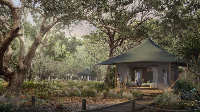 What the new Pandana nature-based eco-tourism resort will look like on South Stradbroke Island.