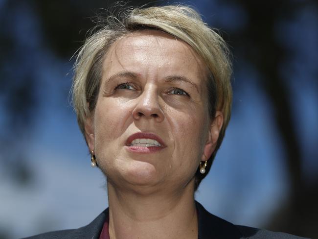 Tanya Plibersek is a supporter of gay marriage. Picture: AAP