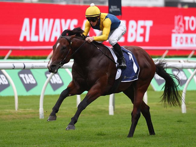 SYDNEY, AUSTRALIA - MARCH 02: James Mcdonald riding Storm Boy wins Race 4 Catanach's Jewellers Skyline Stakes during TAB Verry Elleegant Stakes Day - Sydney Racing at Royal Randwick Racecourse on March 02, 2024 in Sydney, Australia. (Photo by Jeremy Ng/Getty Images)