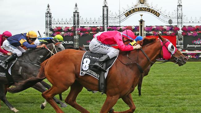 MELBOURNE, AUSTRALIA - MARCH 12: Craig Newitt riding The Quarterback wins race 6 the Lexus Newmarket Handicap during Super Saturday Racing at Flemington Racecourse on March 12, 2016 in Melbourne, Australia. (Photo by Scott Barbour/Getty Images for VRC)