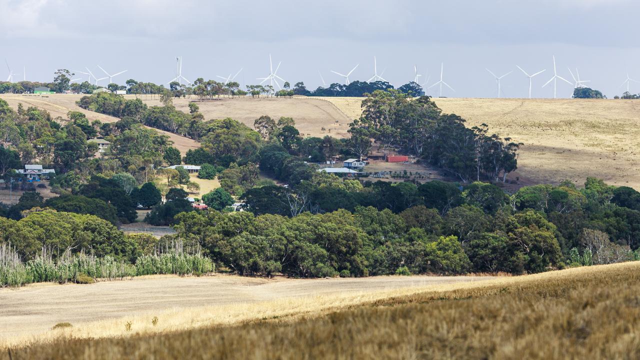 The area of the search. Picture: NewsWire / Aaron Francis