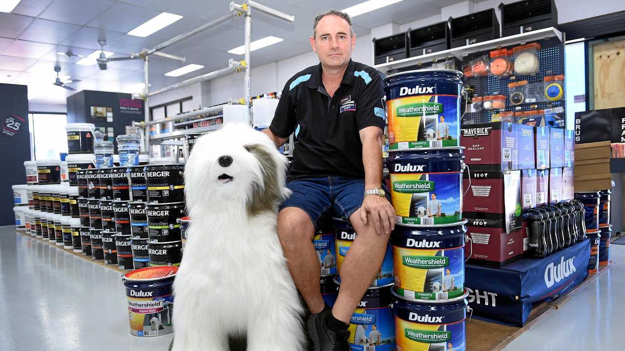 dulux paint dog