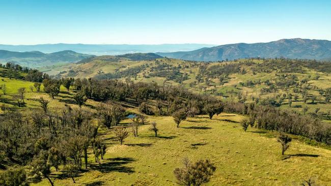 Mauna Loa at Ournie near Jingellic in NSW sold under the hammer for $5 million last week.