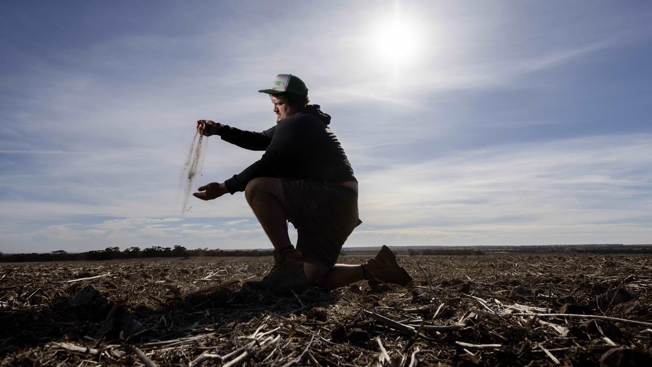 Daniel Marrett, a crop farmer on his property at Peake in May. He said dry weather was causing issues for supplies of feed and crops Picture: Kelly Barnes