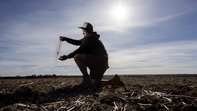 Daniel Marrett, a crop farmer on his property at Peake in May. He said dry weather was causing issues for supplies of feed and crops Picture: Kelly Barnes