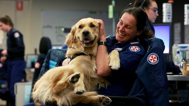 Therapy dogs have been visiting the NSW Ambulance call centre in Alexandria to help reduce the stress levels of Triple 0 operators and dispatchers. Picture: Toby Zerna