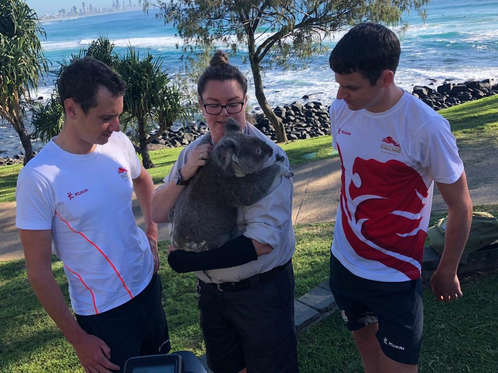 Team England Triathletes Alistair and Jonny Brownlee with Bunker the Koala and a handler from Currumbin Wildlife.