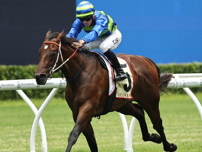 SYDNEY, AUSTRALIA - DECEMBER 28: Tyler Schiller riding Gallo Nero wins Race 1 Petaluma Handicap during Sydney Racing at Royal Randwick Racecourse on December 28, 2024 in Sydney, Australia. (Photo by Jeremy Ng/Getty Images)