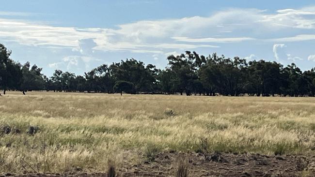 Welcome rain: Mr Glover’s Brewarrina property now (March 1). Picture: Lyndon Mechielsen/The Australian