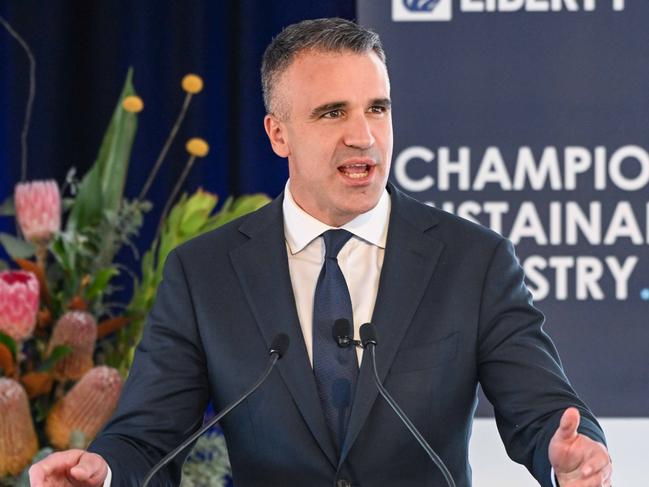 Premier Peter Malinauskas announcing the Whyalla steel plant will be run on hydrogen fuel, making it the first green steel plant in the world. April 4, 2023. Picture: GFG ALLIANCE/Brenton Edwards