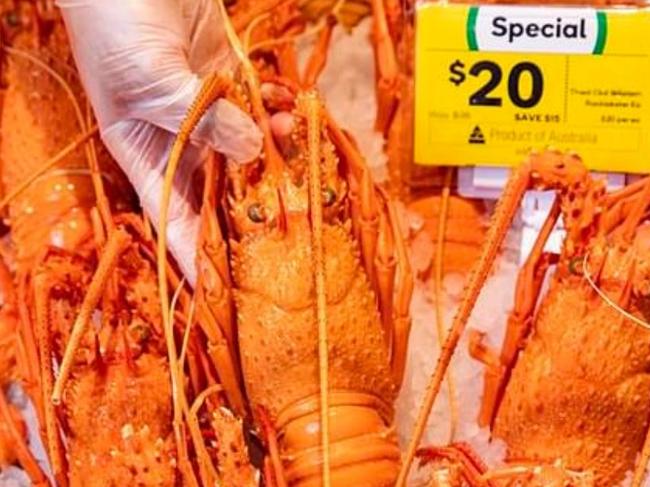 woolies puts a limit on its $20 lobsters